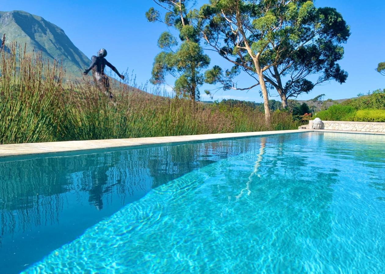 Апартаменти The Guardian Hermanus Luxury Self-Catering Hemel En Aarde Valley Екстер'єр фото